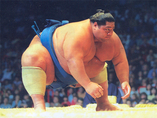борец сумо в боевой стойке